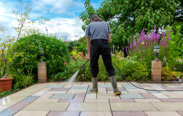 Best Pool Deck Cleaning in Rural Hall, NC